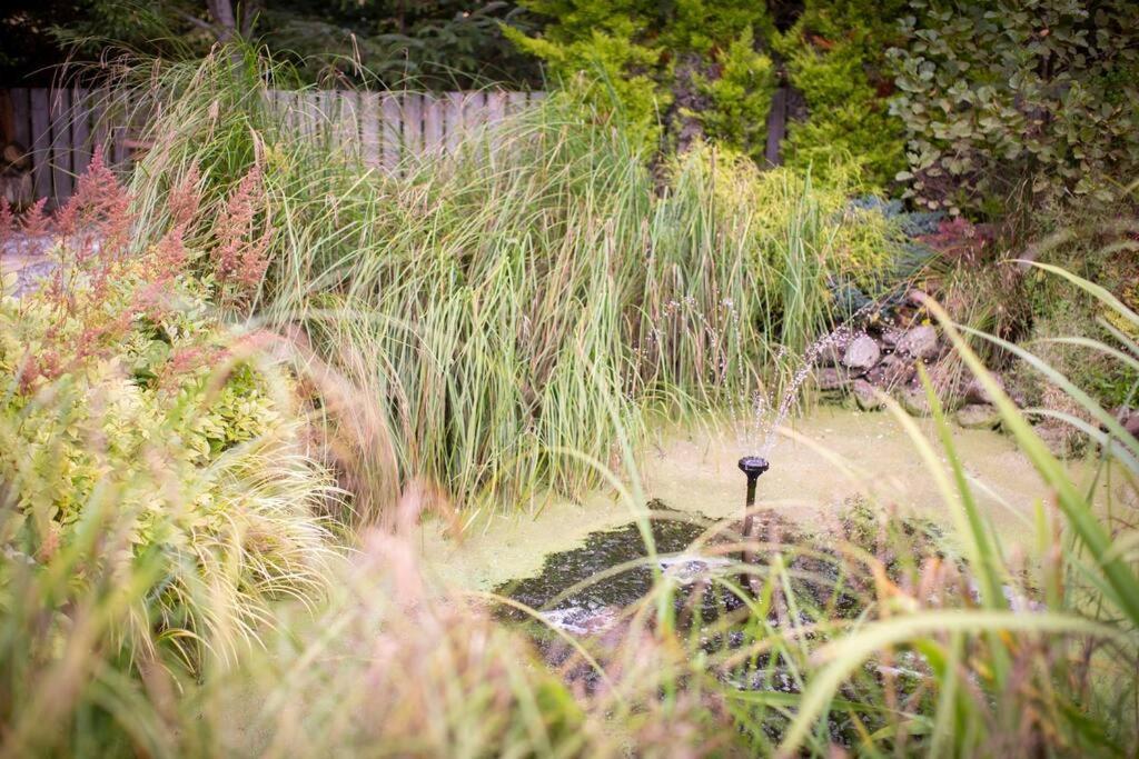Willa Calm Scottish Country Escape With Hot Tub Sleeps 6 Inverness Zewnętrze zdjęcie